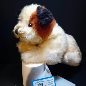 Ian Vintage dog
