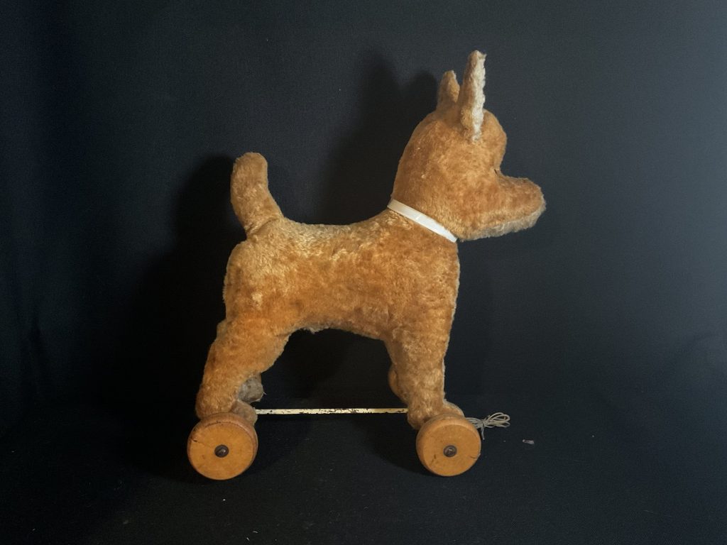 Gaston wheelie dog