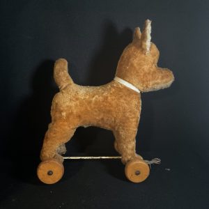 Gaston wheelie dog