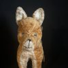 Gaston wheelie dog - Image 4