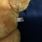 Frankie Wendy Boston