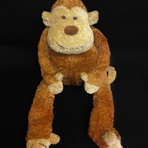 Large Junglie Monkey