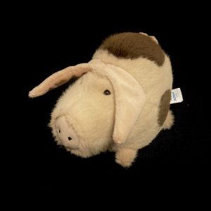 Old Spot Higglady Piggledy pig