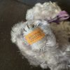 Molly Merrythought - Image 3