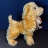 Lady pedigree spaniel - Image 2