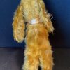 Lady pedigree spaniel - Image 5
