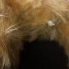 Lady pedigree spaniel - Image 4