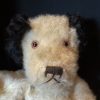 Alfie vintage dog - Image 5
