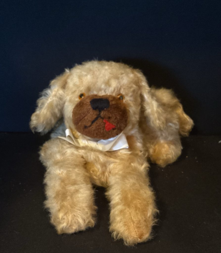 Toffee pj case dog