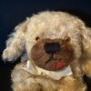 Toffee pj case dog - Image 2