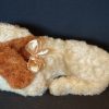 Bella Dog - Image 3
