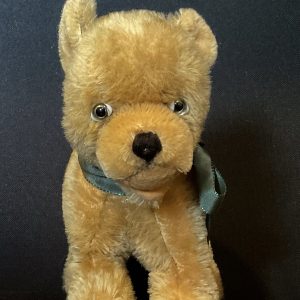 Bo bear cub