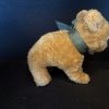Bo bear cub - Image 3
