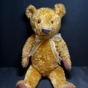 William Chad Valley Magna