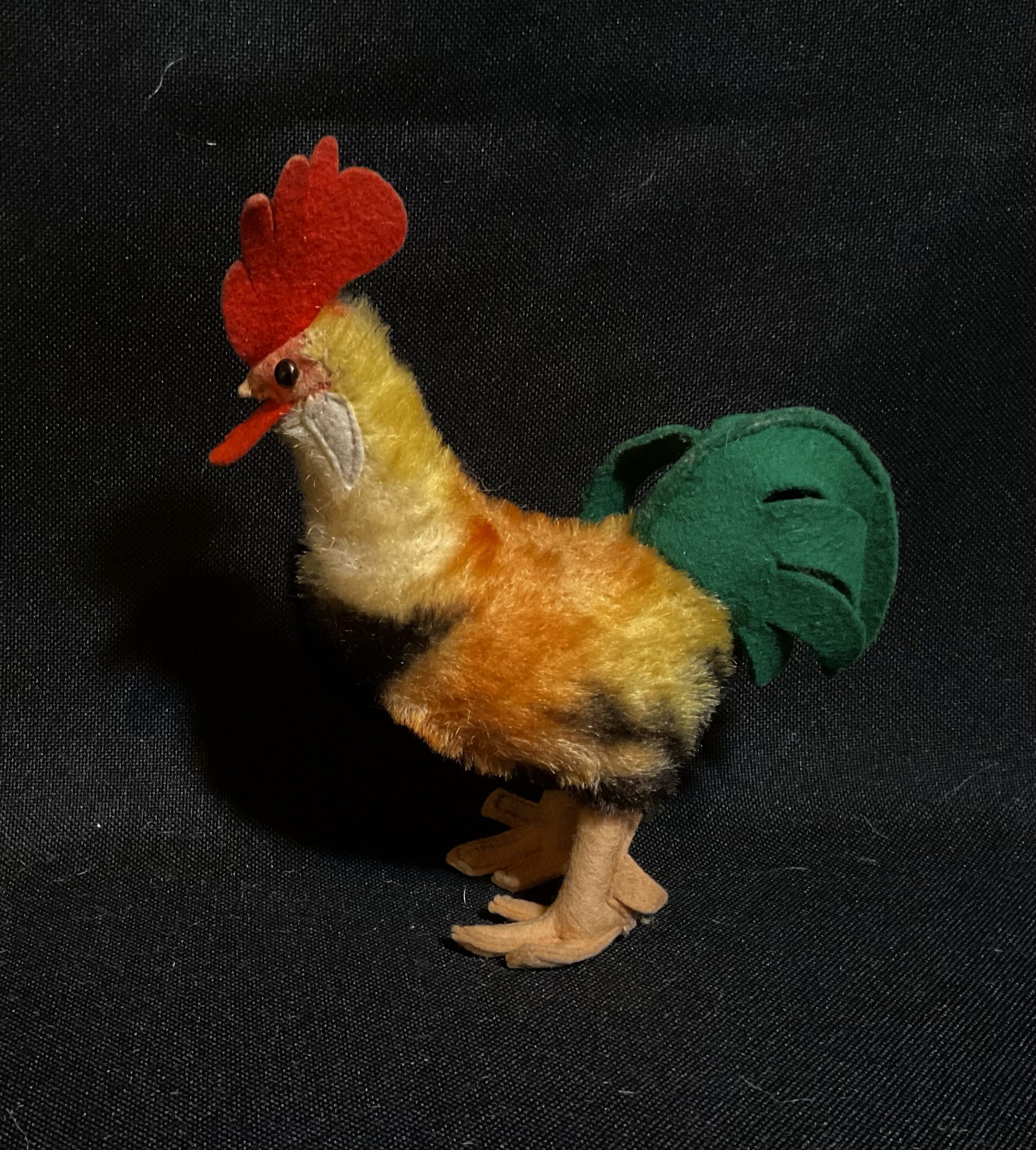 ‘Cocky’ - Image 2