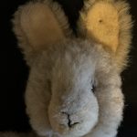 ‘Geoff’ Steiff Ango Hase