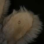 ‘Geoff’ Steiff Ango Hase