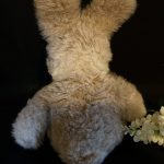 ‘Geoff’ Steiff Ango Hase