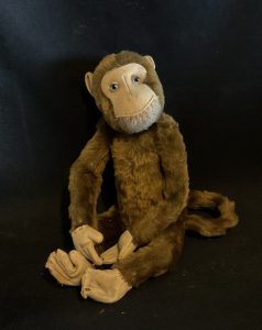 Mungo monkey