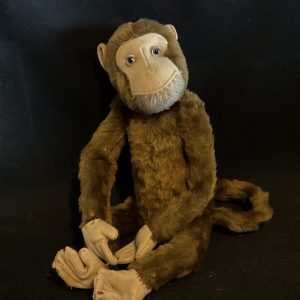 Mungo monkey