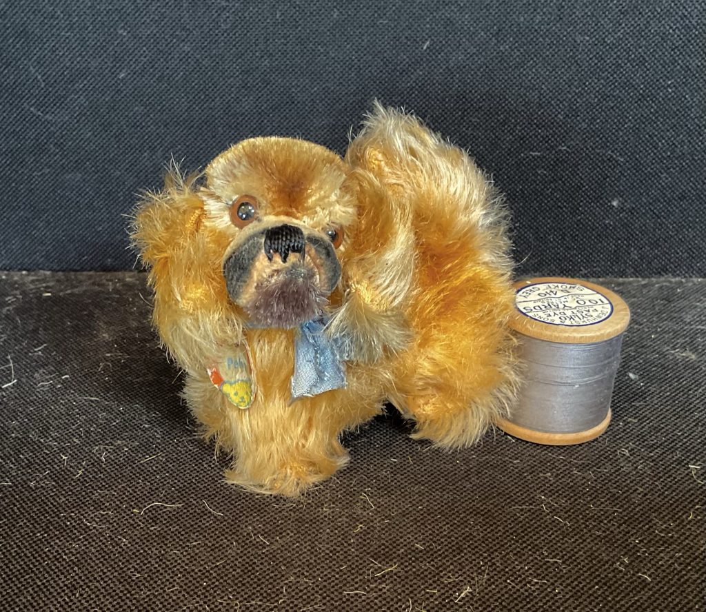 Peky Steiff Dog