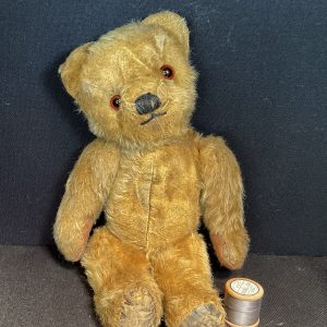Teddy
