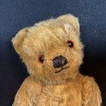 Teddy