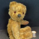 Teddy