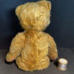 Teddy