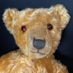 Thomas 1930s shaved muzzle Chiltern