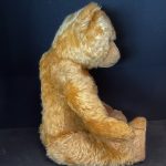 Thomas 1930s shaved muzzle Chiltern