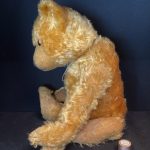 Thomas 1930s shaved muzzle Chiltern